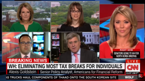 Alexis Goldstein appears on CNN with Brooke Baldwin appear on CNN (screen grab)