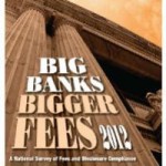 PIRG Report on bank fees