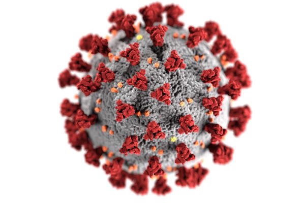 Photo by CDC on Unsplash of the COVID19 virus